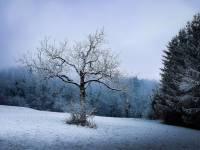 Julie RENAUT - SOUS NOS YEUX