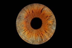 Maud et MARINE - Les bidons de lyon